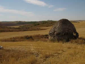 Alfonso-Berridi-Las-Chozas-de-Pastor-2